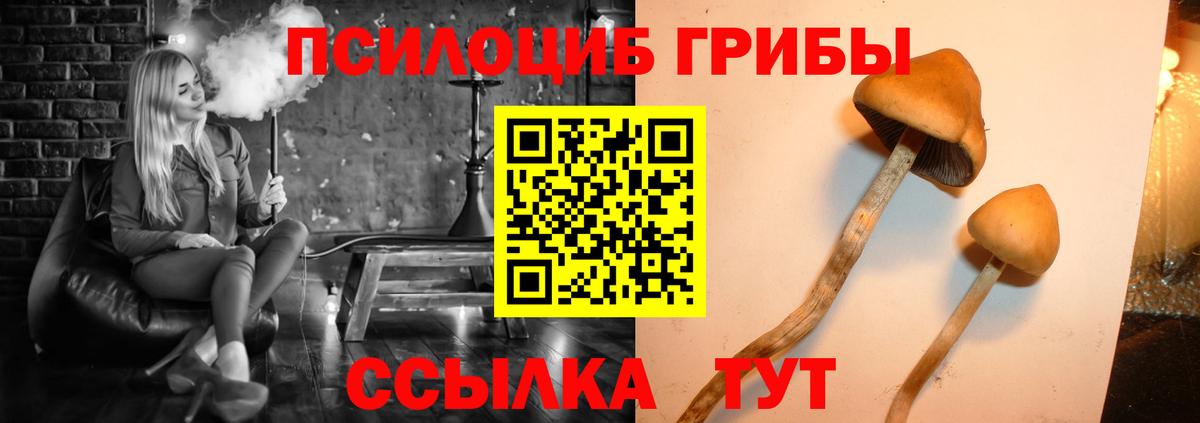 Галлюциногенные грибы ЛСД Коммунар